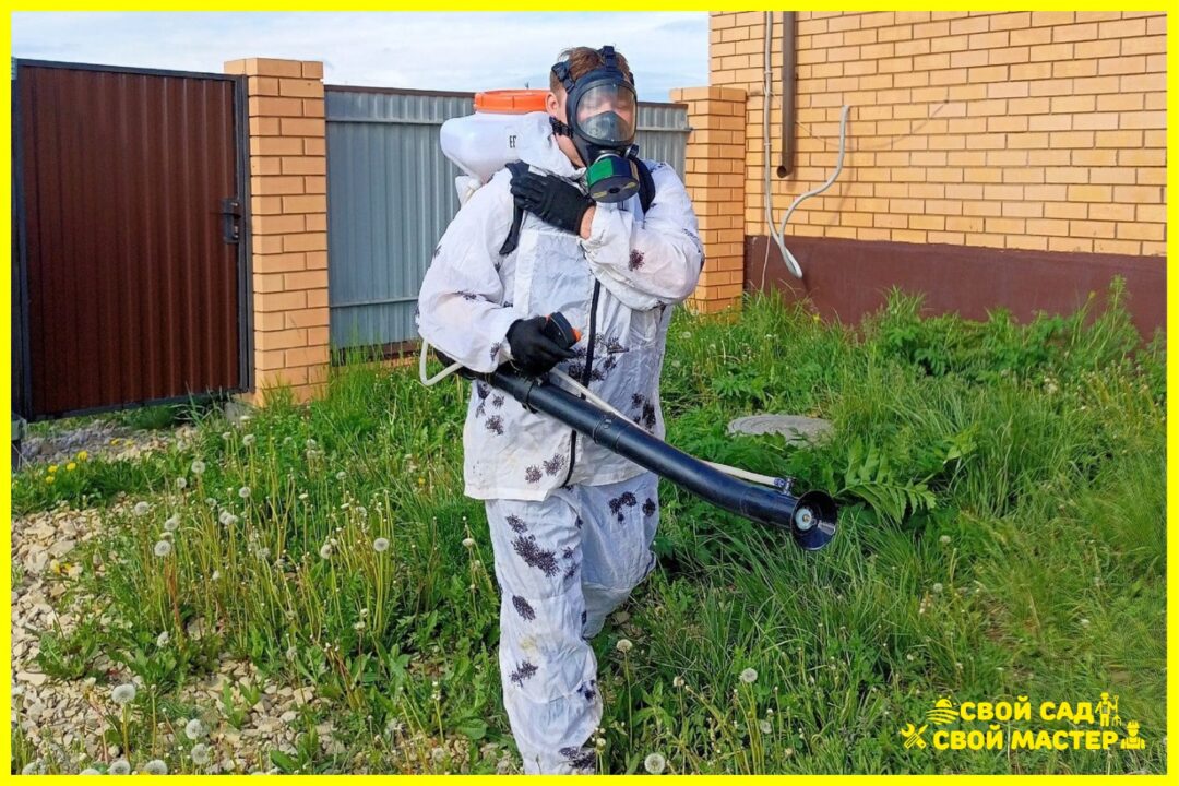 Дезинсектор 5