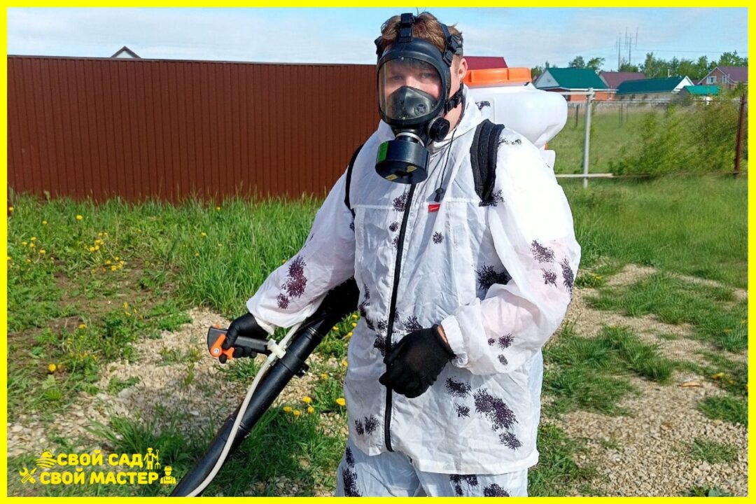 Дезинсектор 6