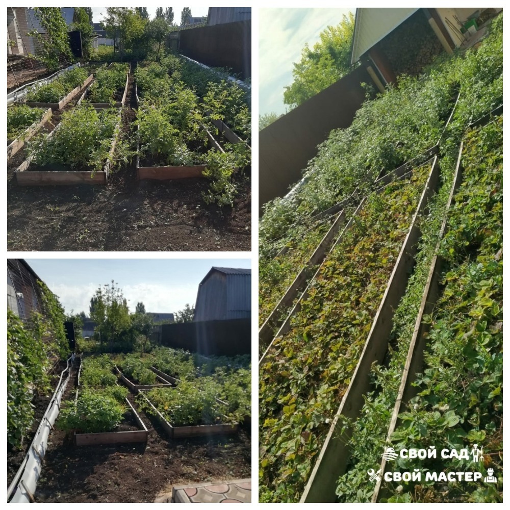 Разнорабочие — Прополка/окучивание