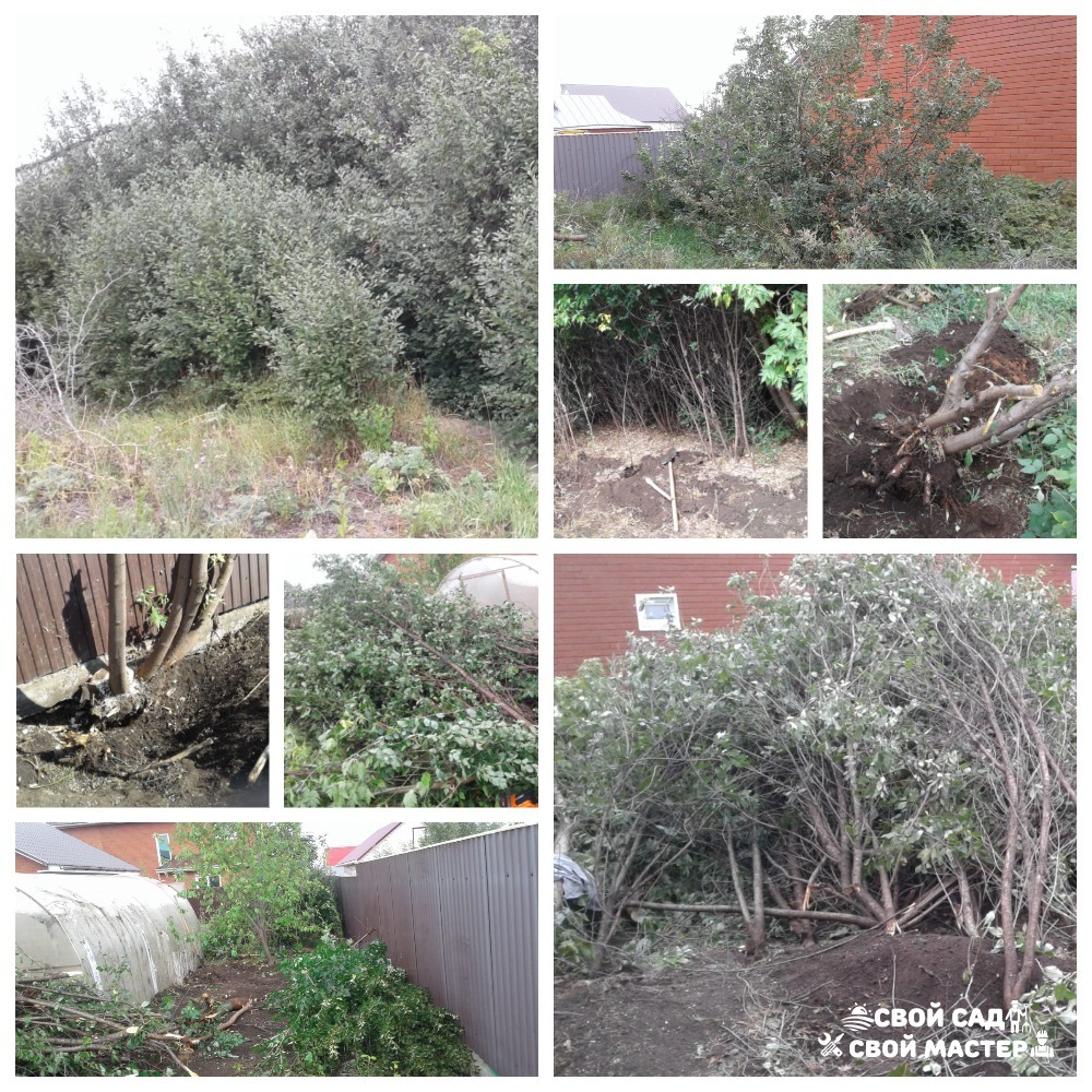 Баня, сад и огород — Распил/корчевание деревьев/кустов