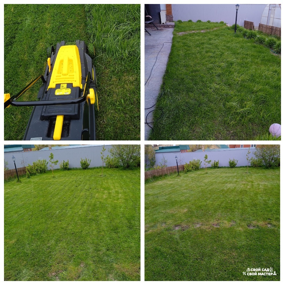Баня, сад и огород — Покос травы триммером/газонокосилкой — Покос травы газонокосилкой