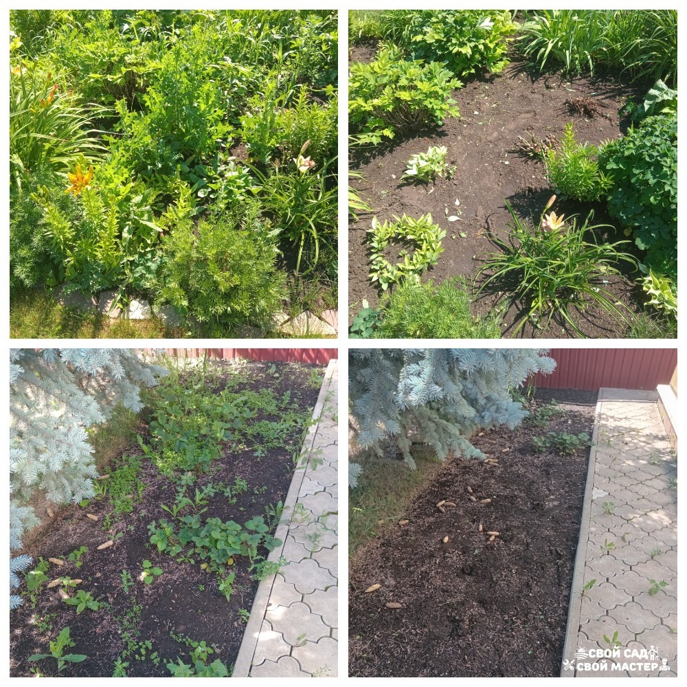 Разнорабочие — Прополка/окучивание