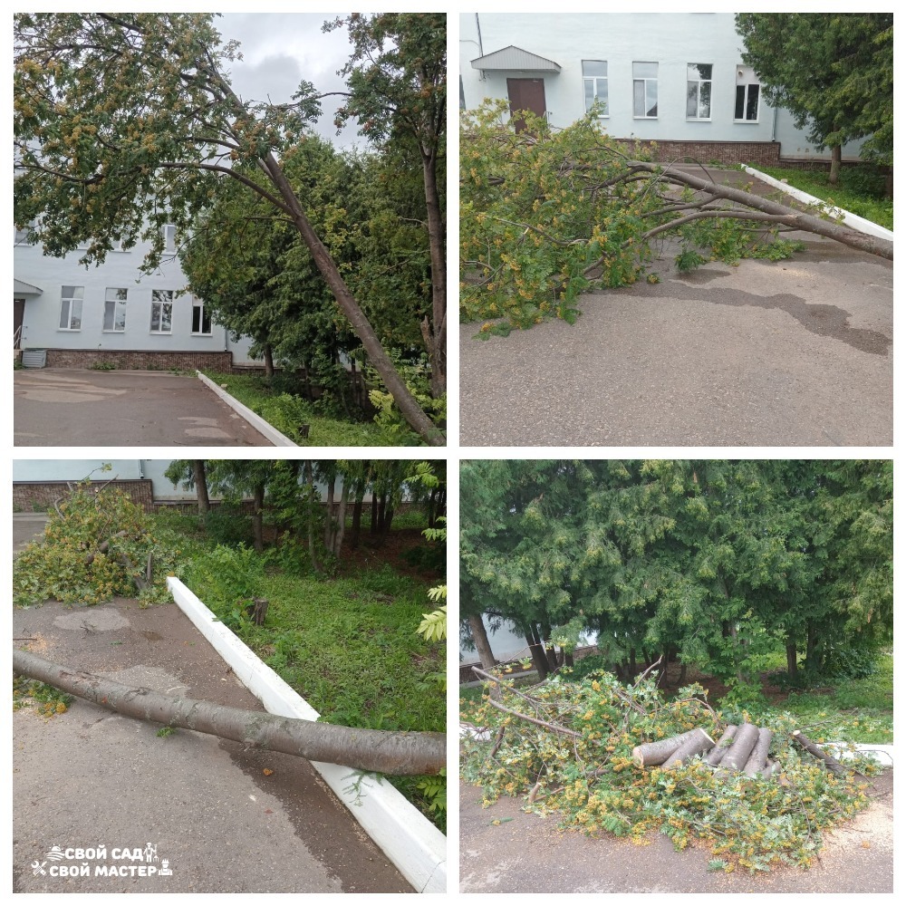 Баня, сад и огород — Распил/корчевание деревьев/кустов