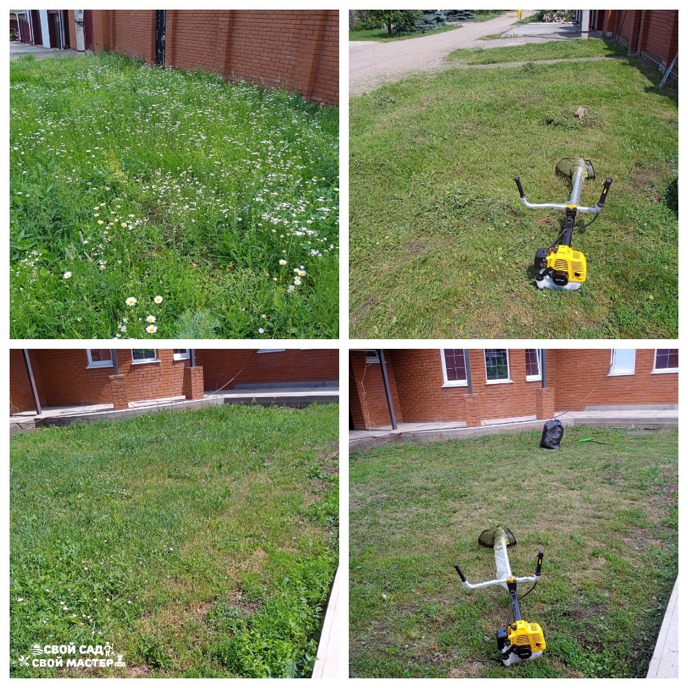 Баня, сад и огорода — Покос травы триммером/газонокосилкой — Покос травы триммером