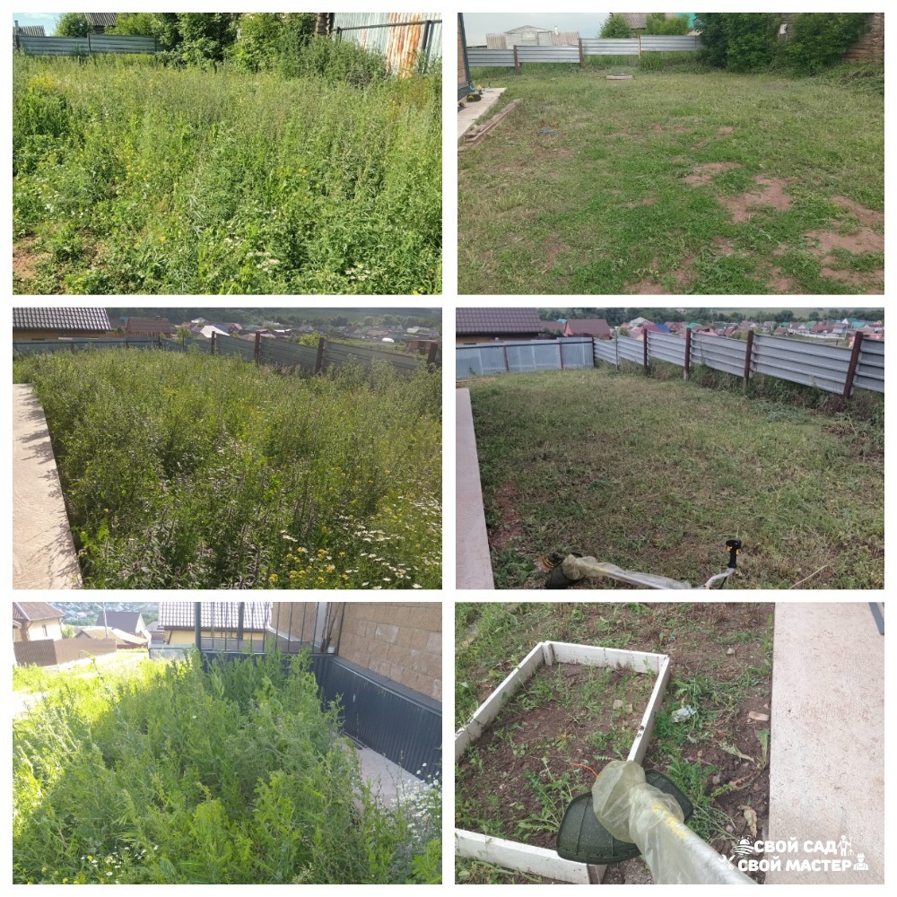 Баня, сад и огород — Покос травы триммером/газонокосилкой — Покос травы триммером