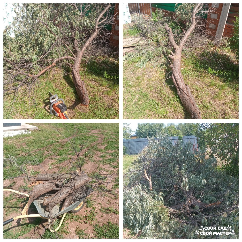 Баня, сад и огород — Распил/корчевание деревьев/кустов