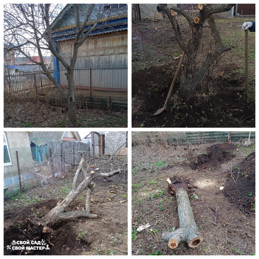 Баня, сад и огород — Распил/корчевание деревьев/кустов