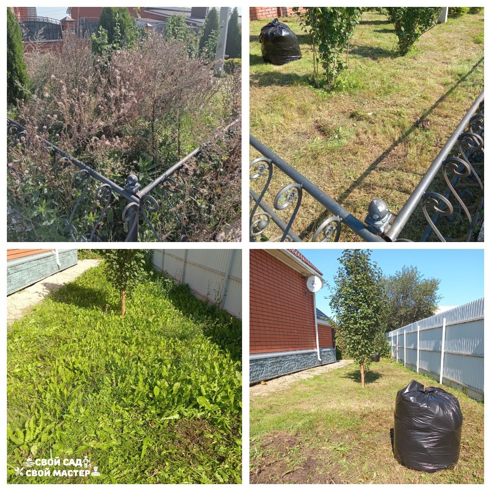 Баня, сад и огород — Покос травы триммером/газонокосилкой — Покос травы триммером