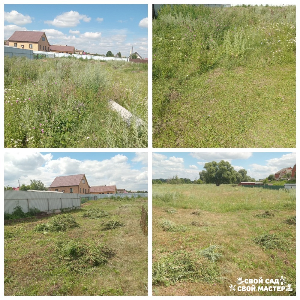 Баня, сад и огород — Покос травы триммером/газонокосилкой — Покос травы триммером