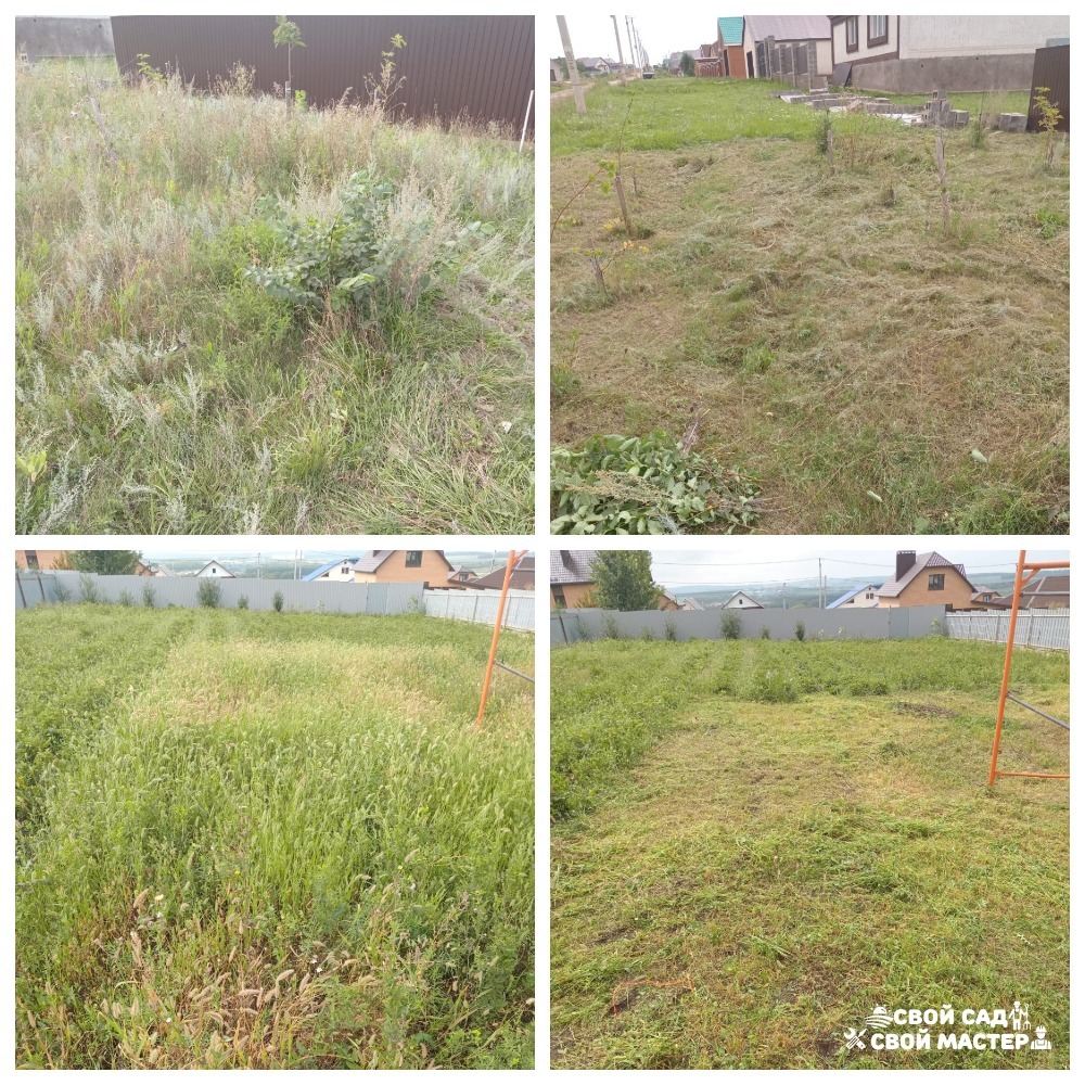 Баня, сад и огород — Покос травы триммером/газонокосилкой — Покос травы триммером