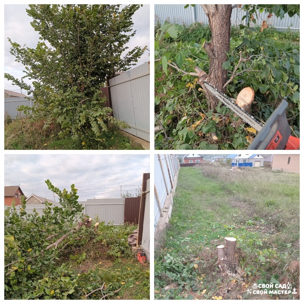 Баня, сад и огород — Распил/корчевание деревьев/кустов
