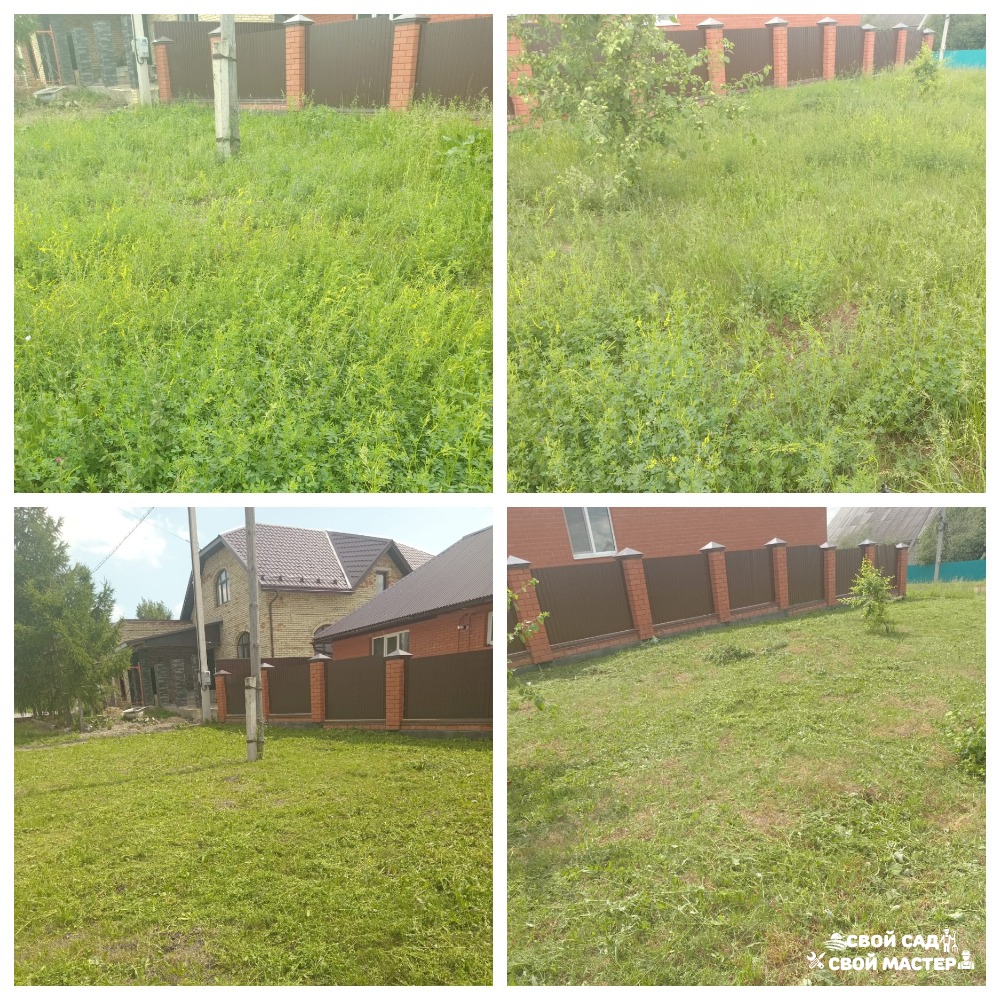 Баня, сад и огород — Покос травы триммером/газонокосилкой — Покос травы триммером